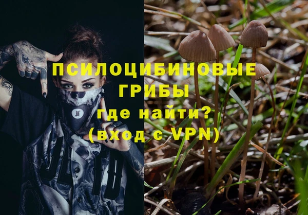 прущий лед Алексин